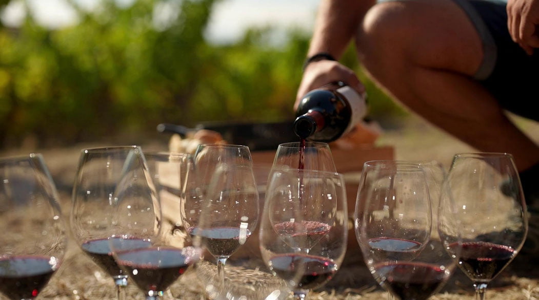 Rioja, Tierra de los Mil Vinos